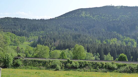 Baumdenkmale im Frischwinkel