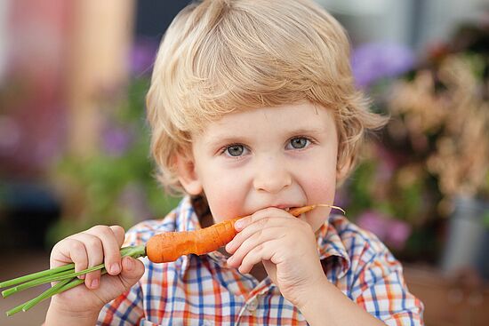 Wesensgerechte Pflanzenernährung für gesunde Lebensmittel
Wesensgerechte Pflanzenernährung für gesunde Lebensmittel
"Mensch um 7"