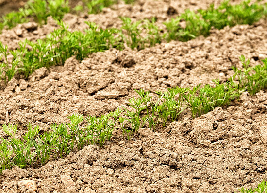 Der Boden unter unseren Füßen
