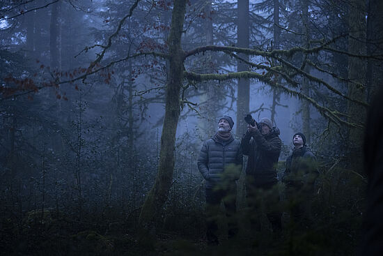 Das Flüstern der Wälder