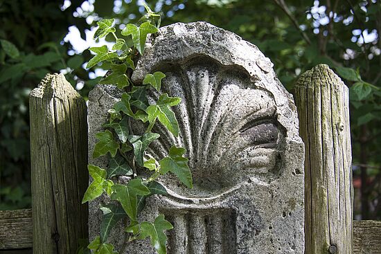 "Wir gehen den Jakobsweg" - Von Hohenburg bis Kastl