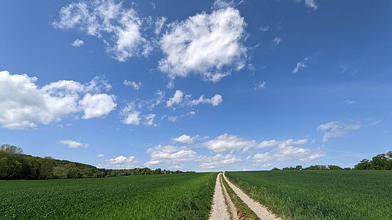 Erwanderte Orte: Kleiner Arbersee - Mooshütte