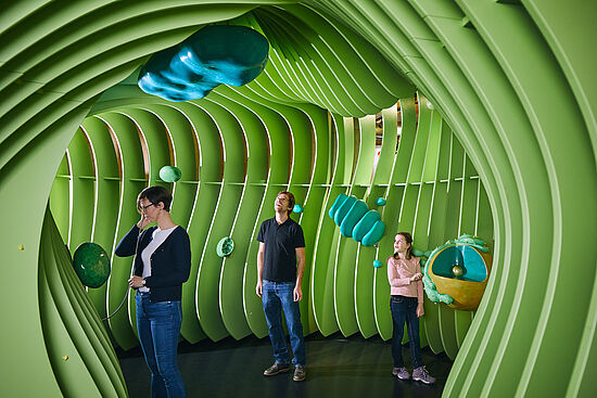 Highlight-Führung Plus im NAWAREUM