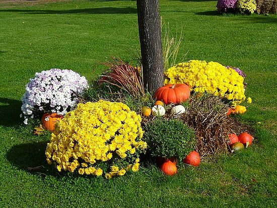 Fahrt nach Furth im Wald mit Führung auf der Landesgartenschau