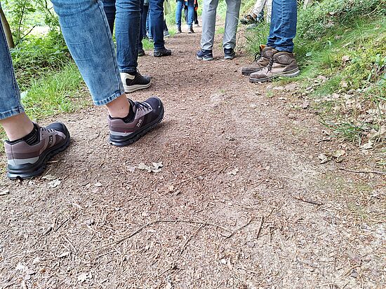 Gedanklich unterwegs - Schritt für Schritt durch die Fastenzeit