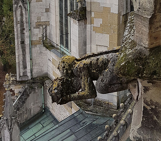 Rundumadum
Entdeckungsreise rund um den Dom