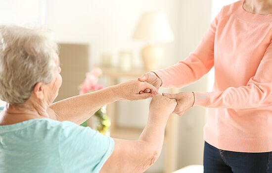 Die Bedeutung des familiären Systems in der Hospizbegleitung