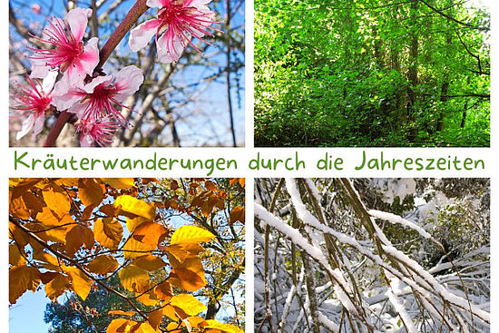 Kräuterwanderung durch die Jahreszeiten