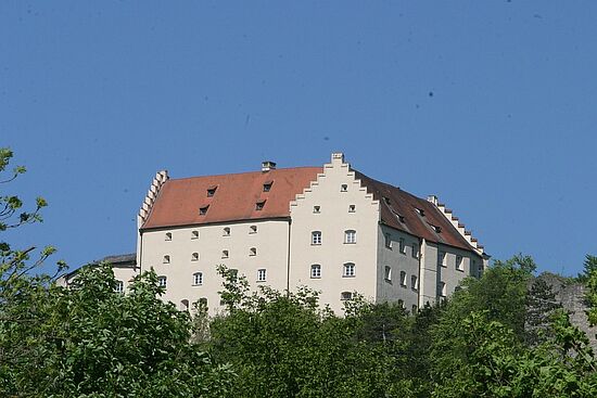 Fahrt nach Riedenburg mit Falkenschau-Vorführung