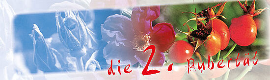 ZWEITE PUBERTÄT - WECHSELJAHRE