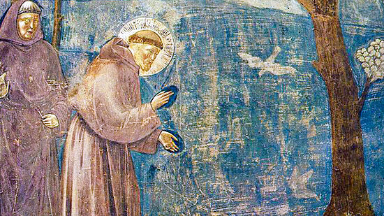 Rebell, Heiliger, Ökoapostel 
- 800 Jahre Heiliger Franziskus