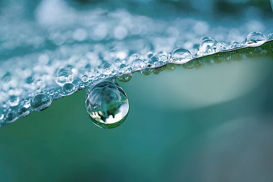Wasser pflanzen: Die Bedeutung von Vegetation und fruchtbarem Boden für den Wasserkreislauf und das Klima
"Wasser um 7"