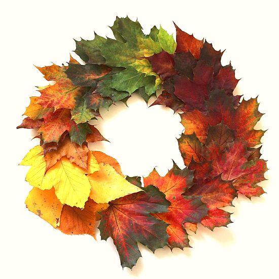 Um eine Mitte, die trägt - Basisgruppe:
Bunte Herbsttänze