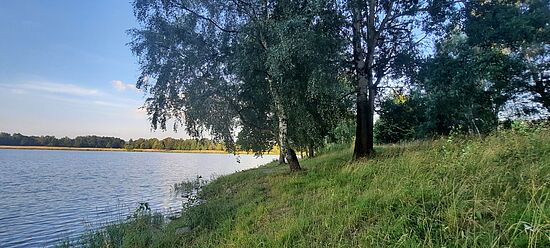 Geführter Abendspaziergang am Satzdorfer See