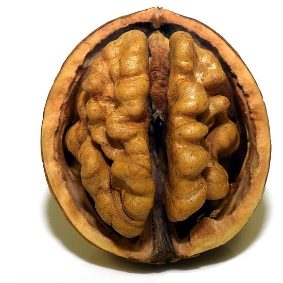 Kräuterfitness für den Kopf - bis ins hohe Alter