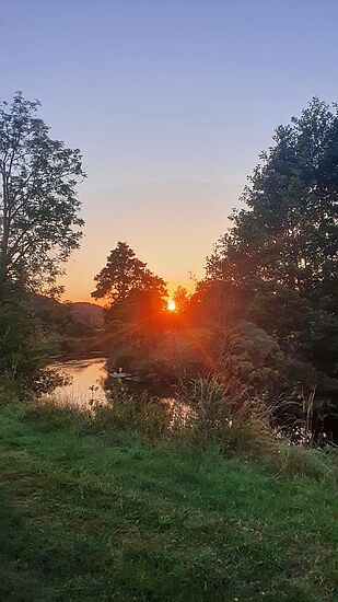 Lebensraum Lauterach