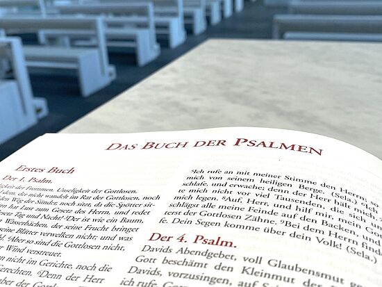 Psalmen - unentdeckte Schätze