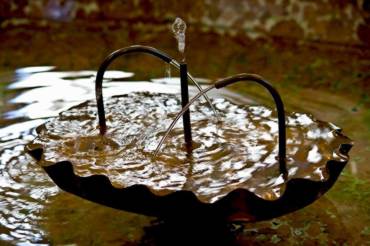 Reizvolle Halbtagesfahrt ins schöne Regental